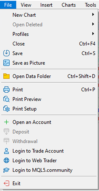 File Menu Items