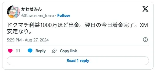 海外FX業者・XMから1000万円を出金した口コミ