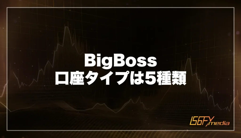 BigBoosの口座タイプは5種類