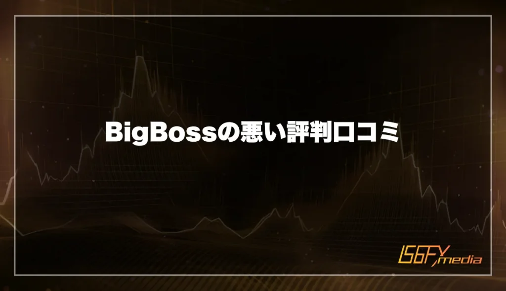 BigBoss(ビッグボス)の悪い評判口コミ