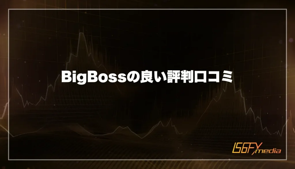 BigBoss(ビッグボス)の良い評判口コミ