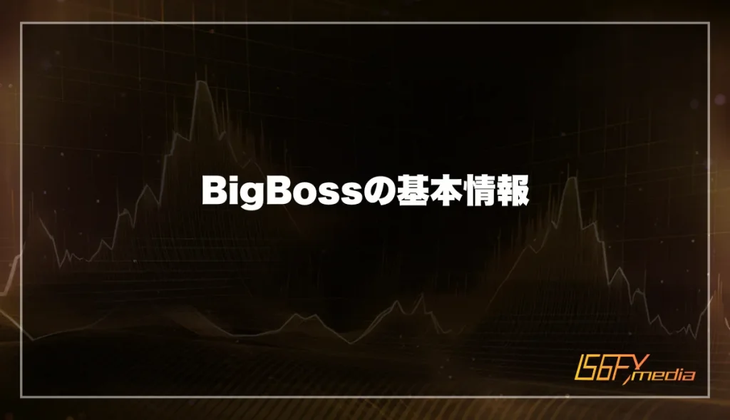 BigBoss(ビッグボス)の基本情報