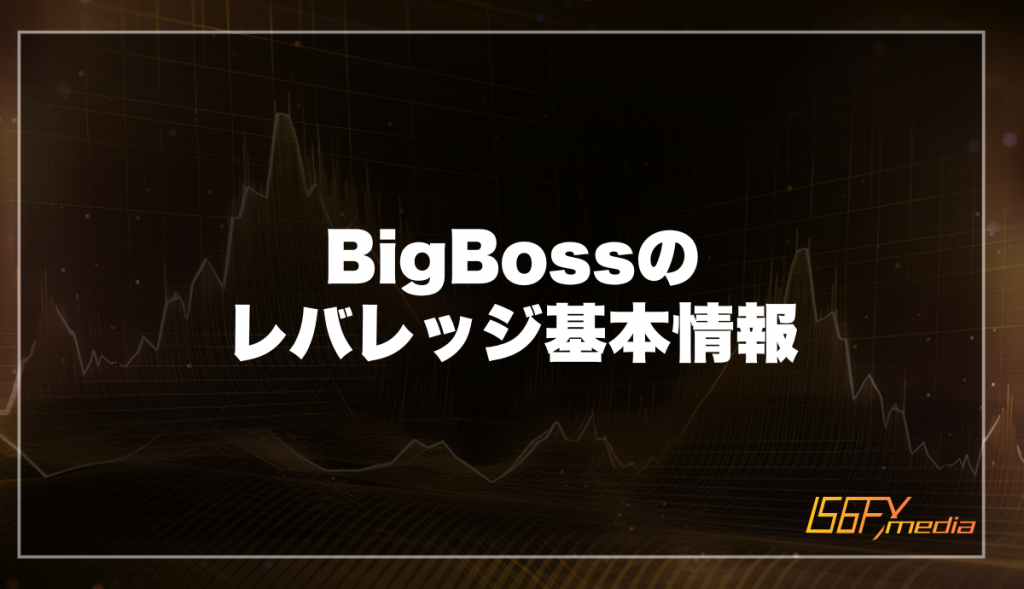 BigBossのレバレッジ基本情報